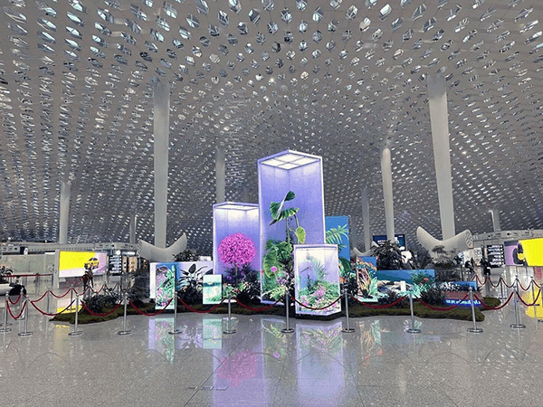财务会计管理系统的功能与特点
