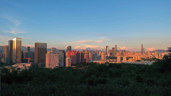 2. 系统开发与测试